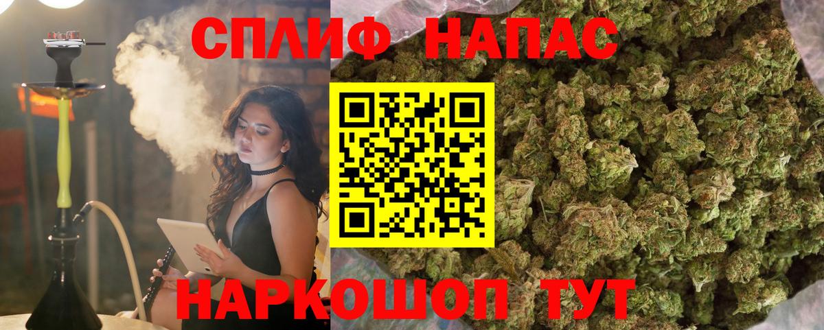 Бошки марихуана OG Kush Кириши